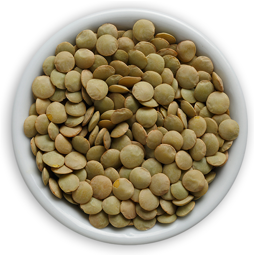 Black Red Lentil image