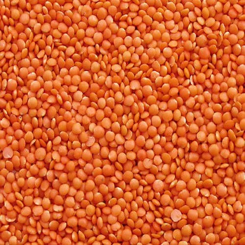 Red Split Lentil image