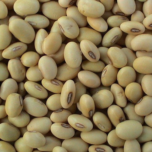 Soyabean images